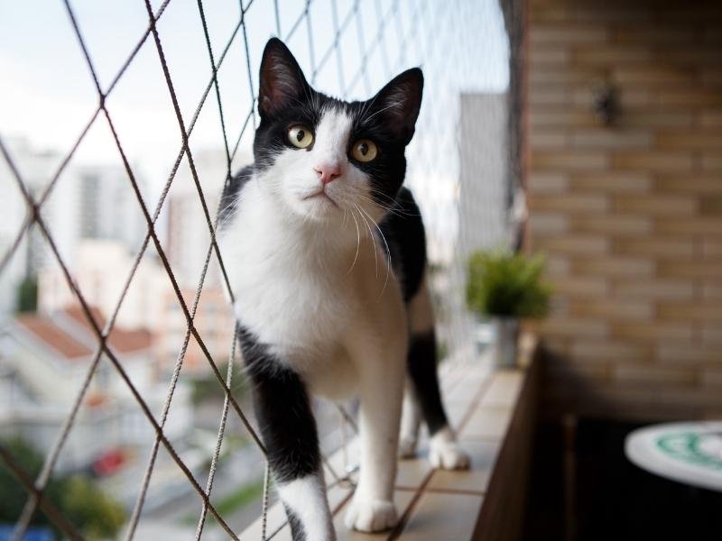 Tela musquiteira em Uberlândia