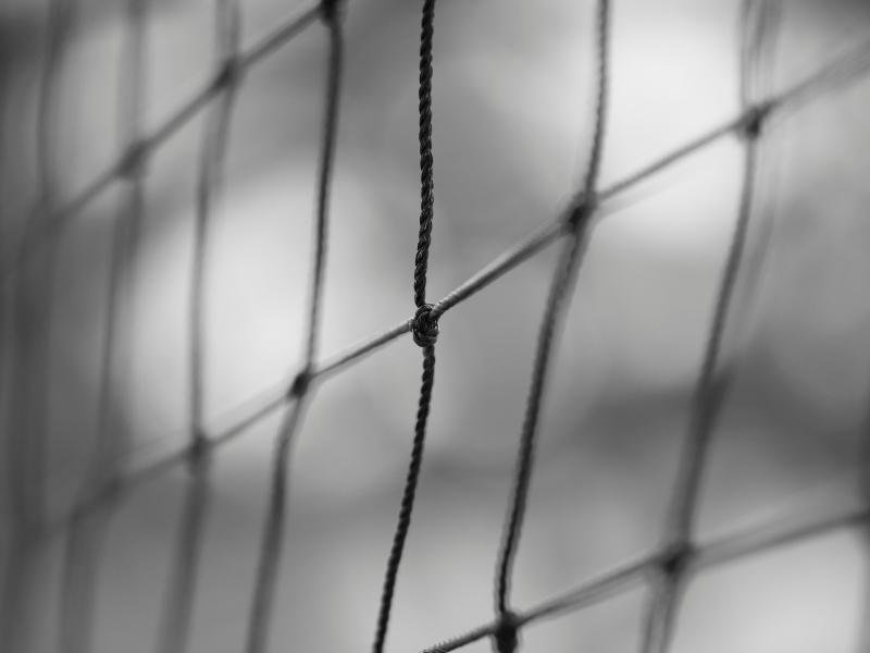 Redes de segurança para pets em Uberlândia