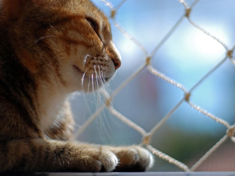 Telas de segurança para Apartamentos em Uberlândia