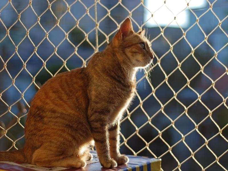 Redes de segurança para canchas em Uberlândia