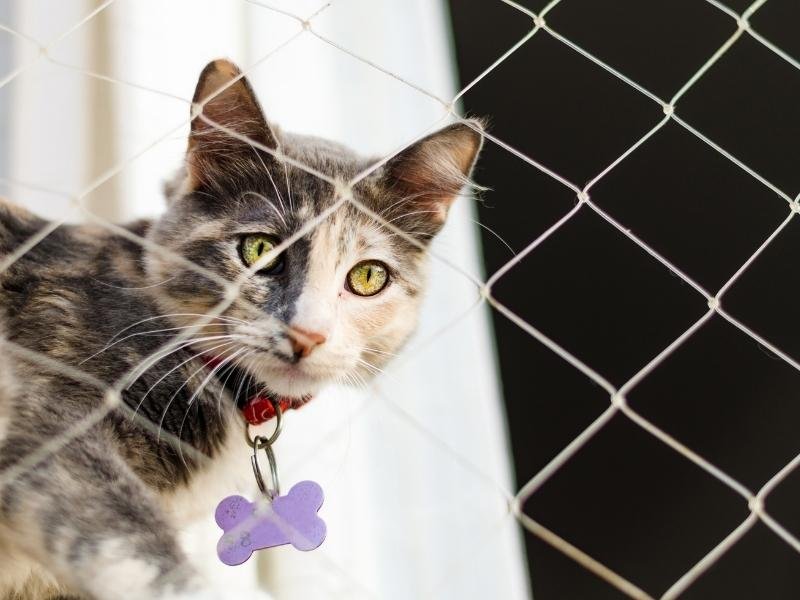 Instalação de Telas de proteção em Uberlândia