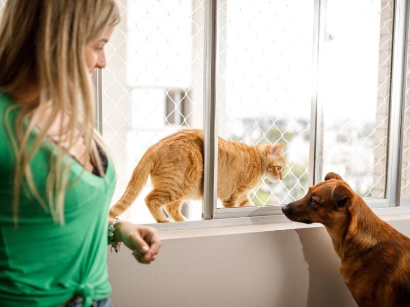 Rede para janelas de alta resistência em Uberlândia