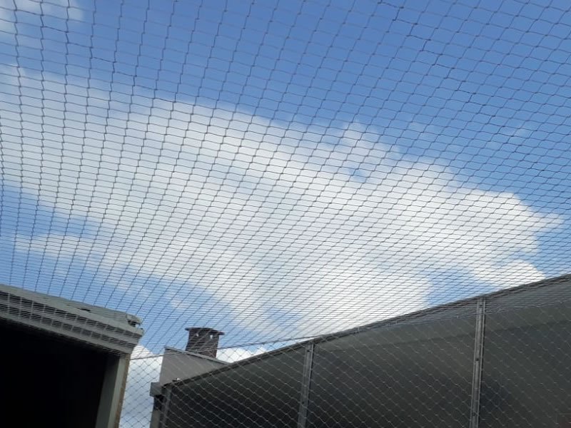 Garanta a segurança de animais com tela de proteção em Uberlândia