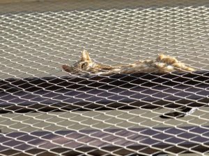 Telas de segurança industrial em Uberlândia