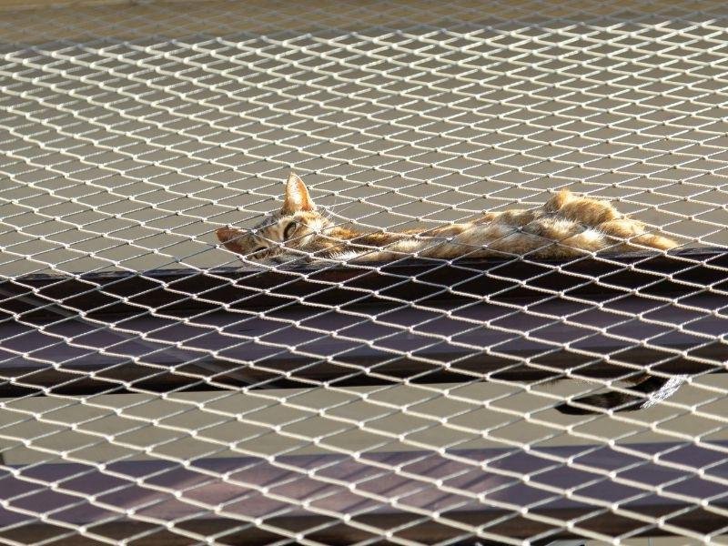 Telas de segurança industrial em Uberlândia